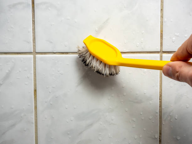 Best Best Mold Removal Companies  in Sellersburg, IN