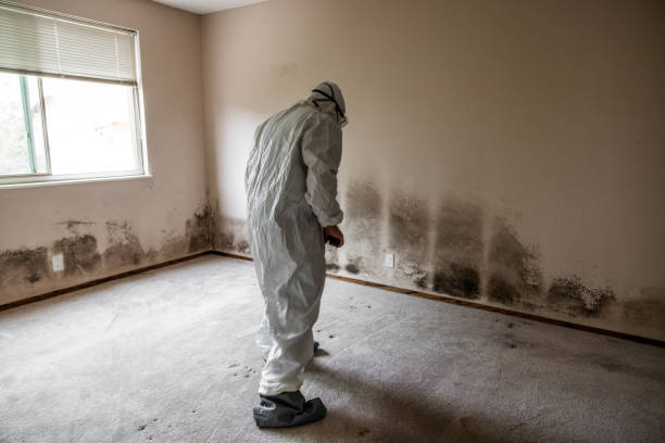 Best Crawl Space Mold Removal  in Sellersburg, IN